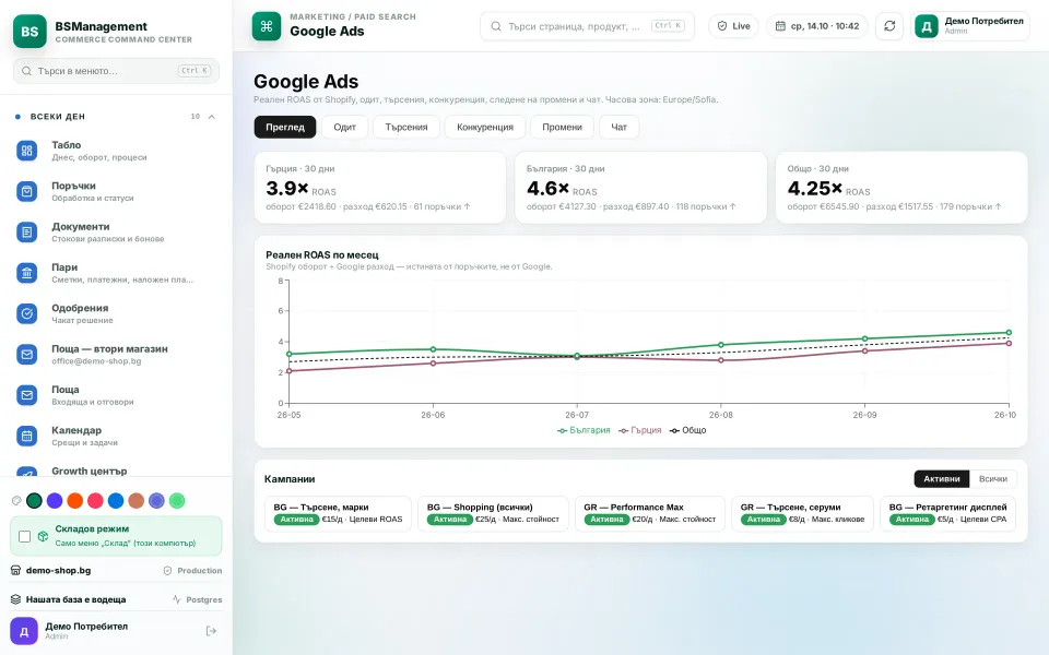 Google Ads: real ROAS from store orders per market, monthly trend and active campaigns